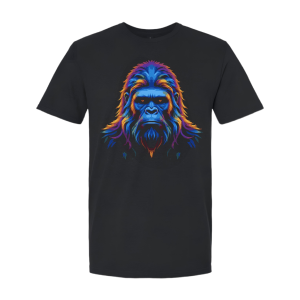 T-Shirt-Holo-Front